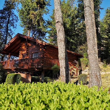 Cerro Cumbrecita Villa Ла Кумбресита Екстериор снимка
