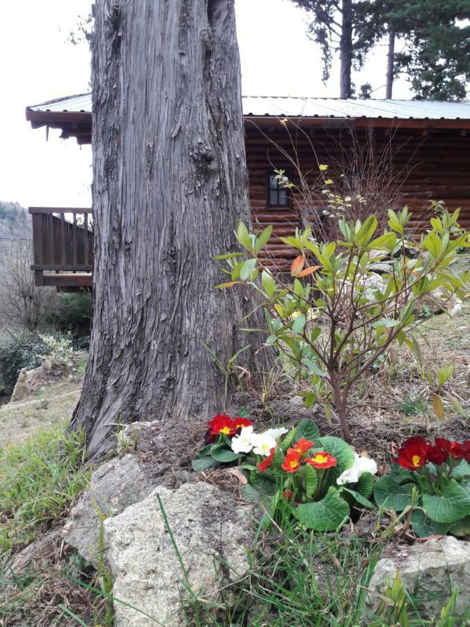 Cerro Cumbrecita Villa Ла Кумбресита Екстериор снимка